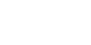 GoValue Property Surveyors